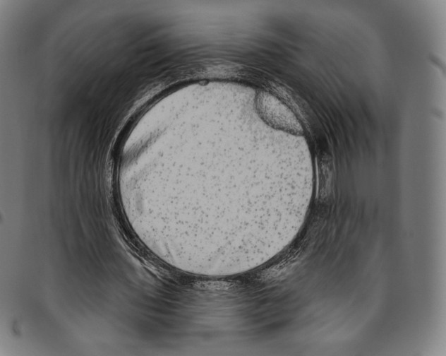 X0000096490435200802211241