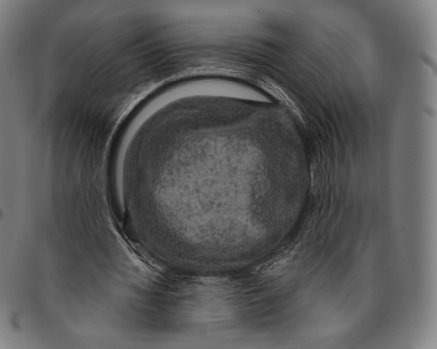 X0000096490436200802211241