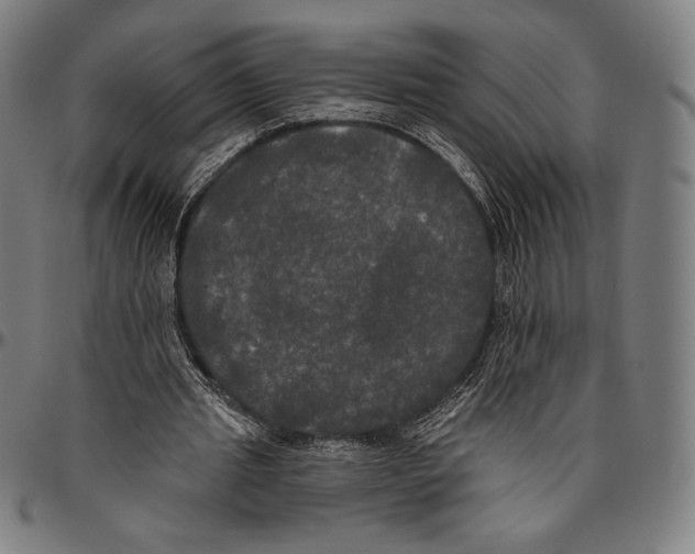 X0000096490437200802211241