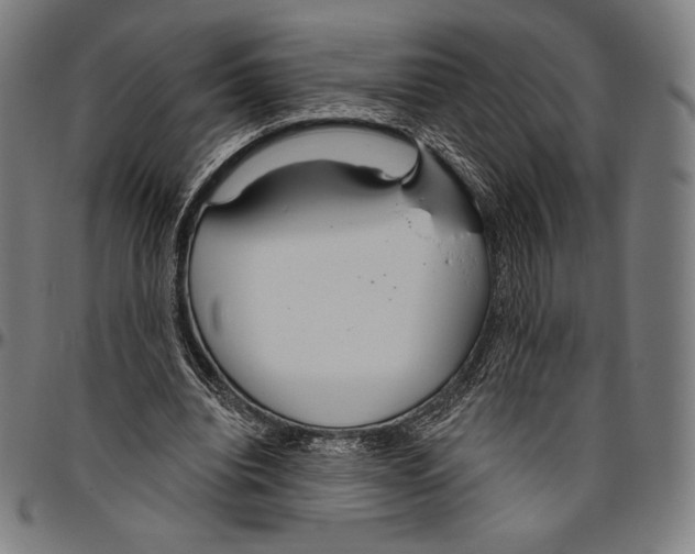 X0000096490440200802211241