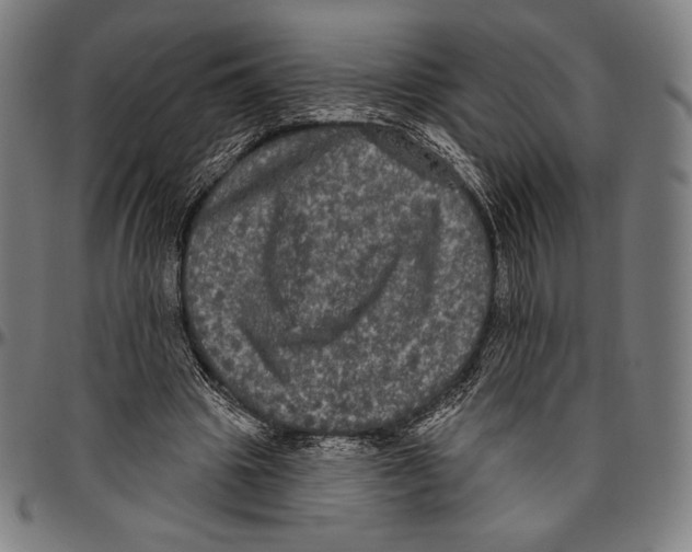 X0000096490441200802211241