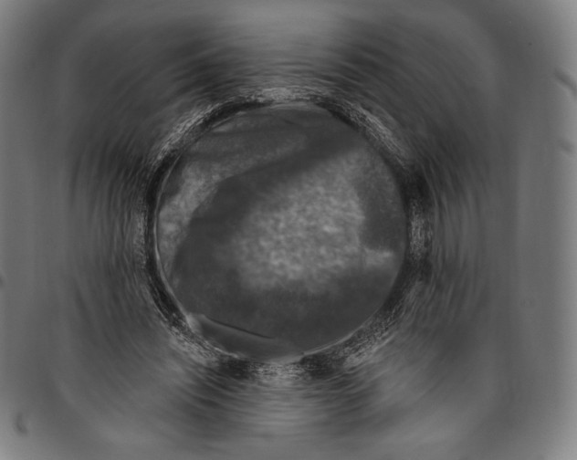 X0000096490444200802211241