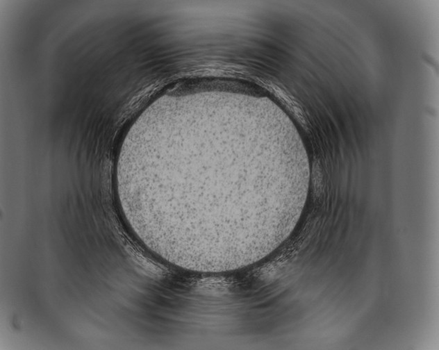 X0000096490445200802211241