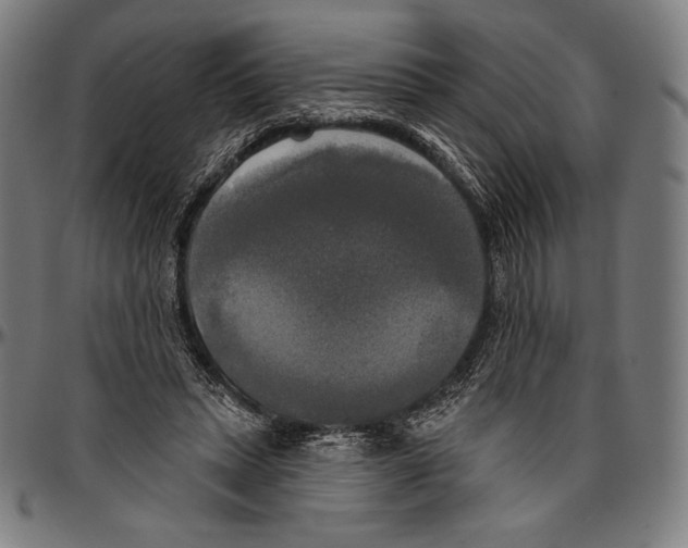 X0000096490447200802211241