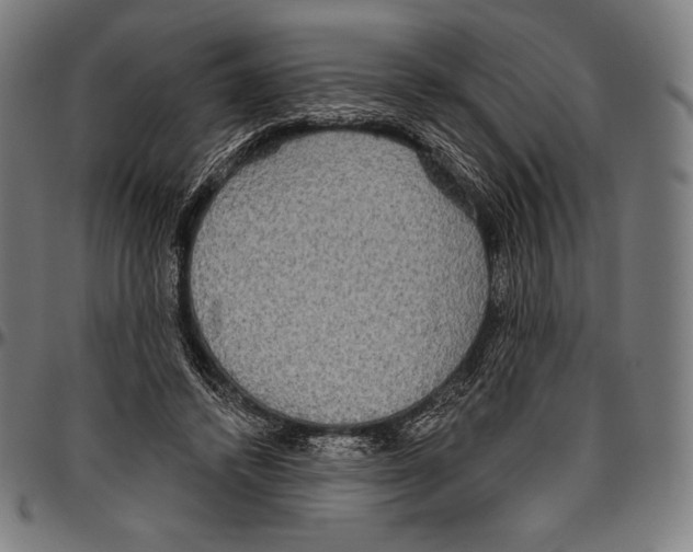 X0000096490448200802211241