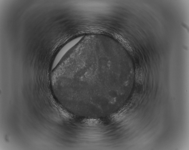 X0000096490449200802211242