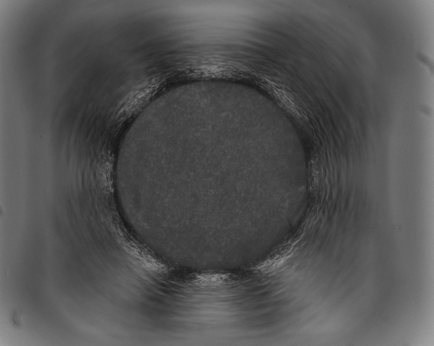 X0000096490450200802211242