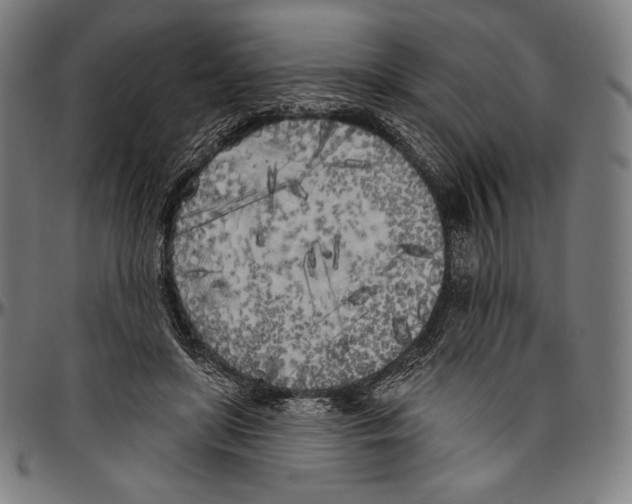 X0000096490451200802211242