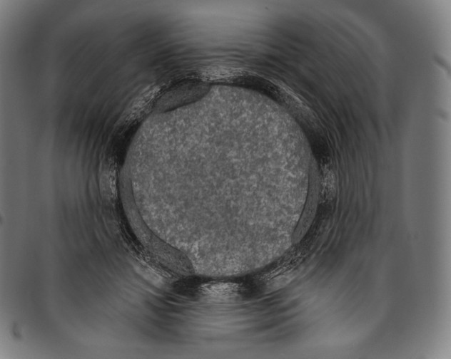 X0000096490452200802211242