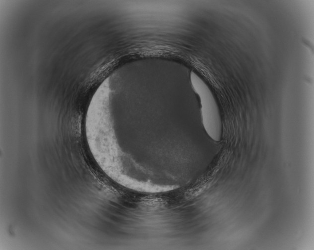 X0000096490454200802211242