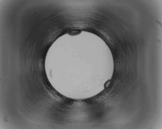 X0000096490455200802211242