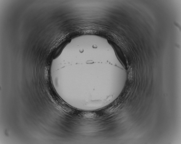 X0000096490456200802211242