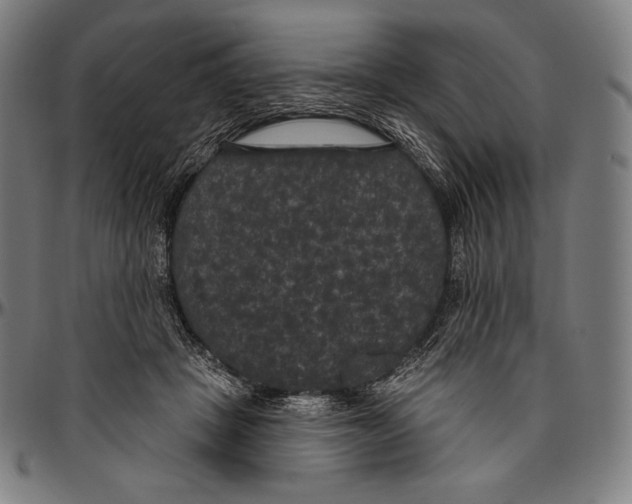 X0000096490457200802211242