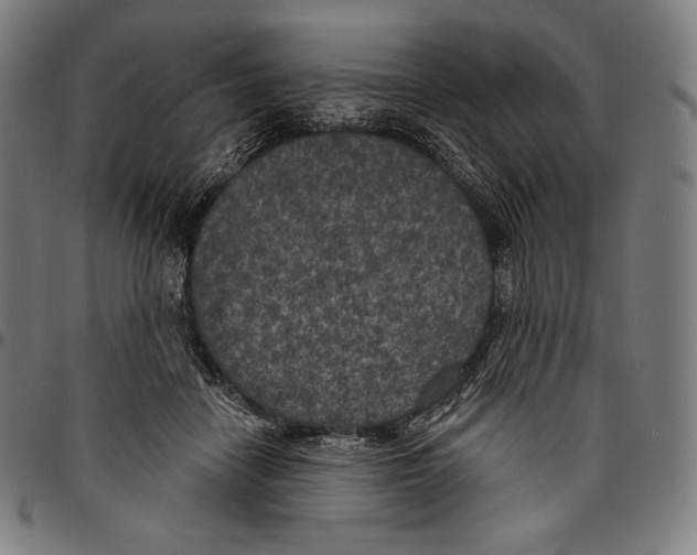 X0000096490458200802211242