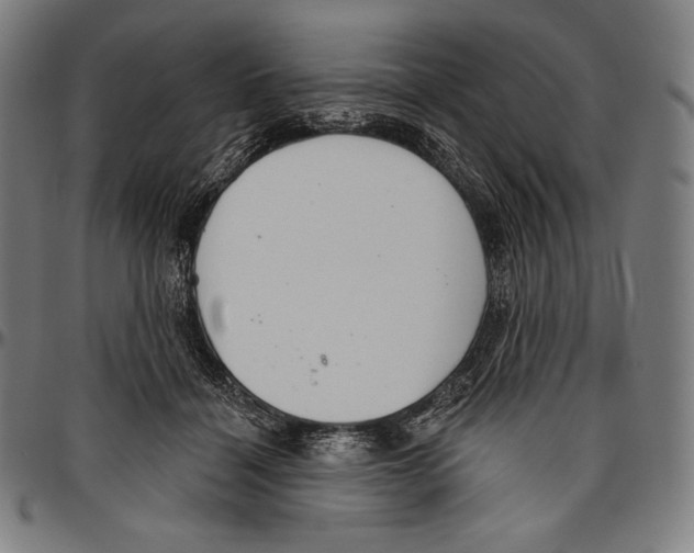 X0000096490460200802211242