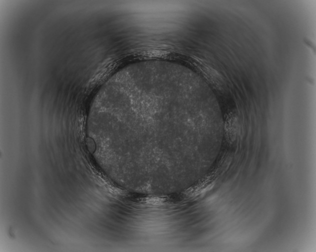 X0000096490462200802211242