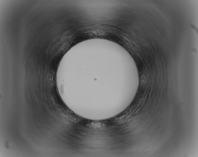 X0000096490464200802211242