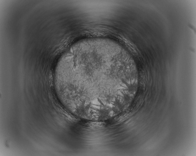 X0000096490465200802211242
