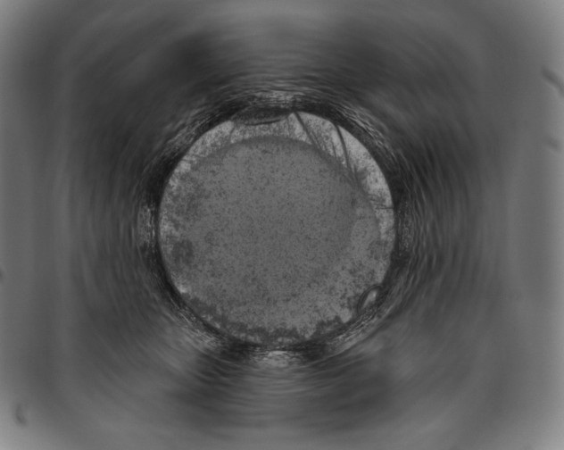 X0000096490467200802211242