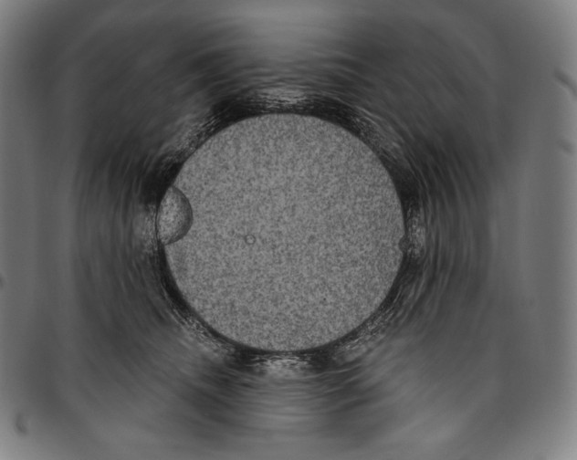 X0000096490468200802211242