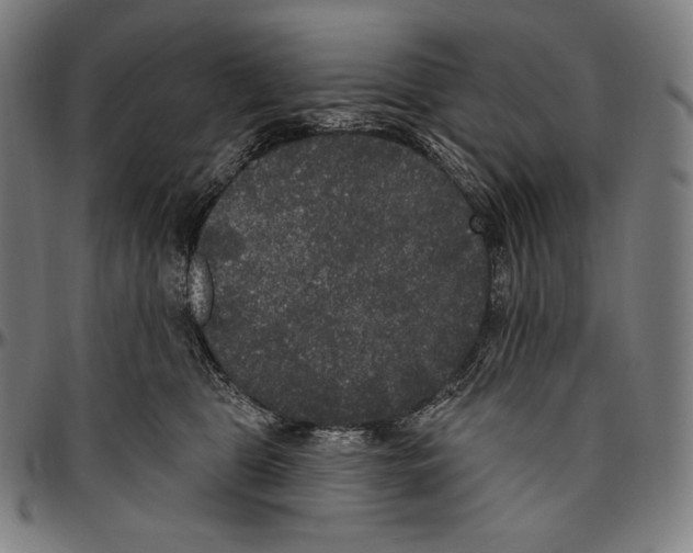 X0000096490469200802211242