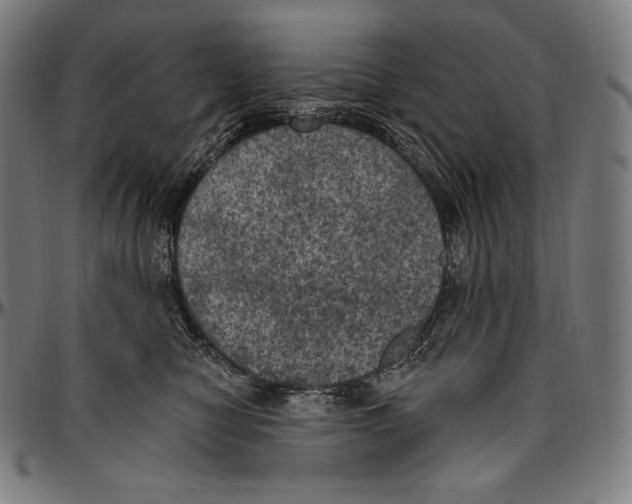 X0000096490470200802211242