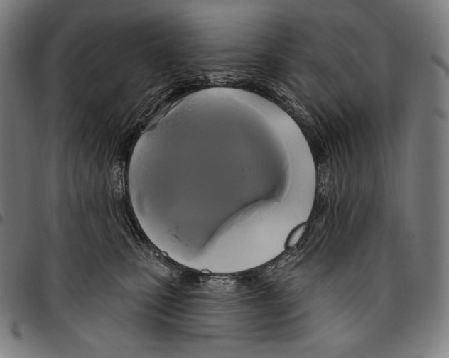 X0000096490471200802211242