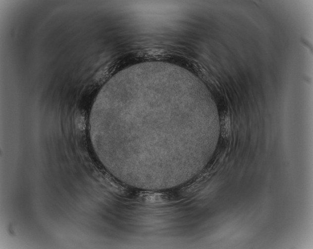 X0000096490472200802211242