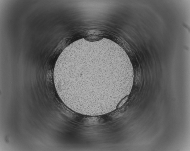 X0000096490473200802211242