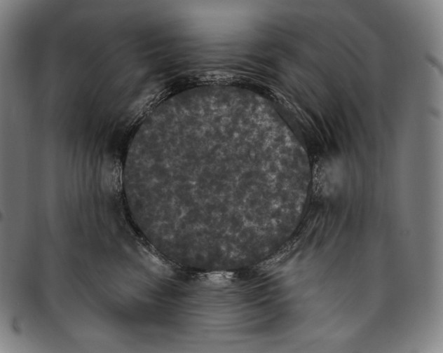 X0000096490474200802211242