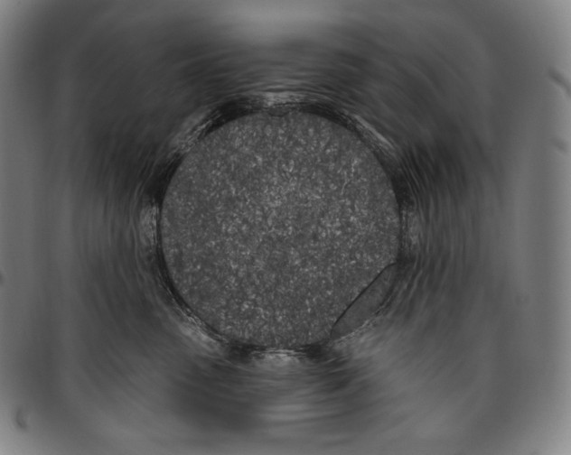 X0000096490475200802211242