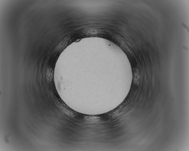 X0000096490476200802211242