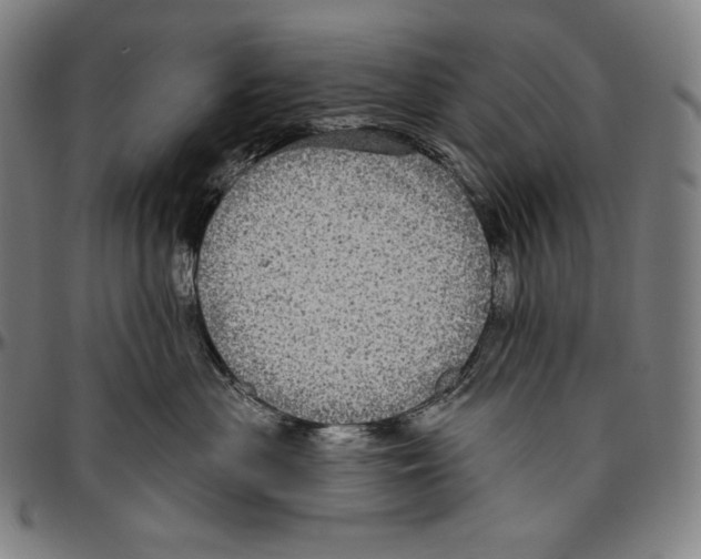 X0000096490477200802211242