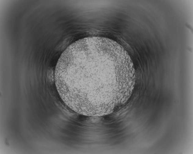 X0000096490479200802211242