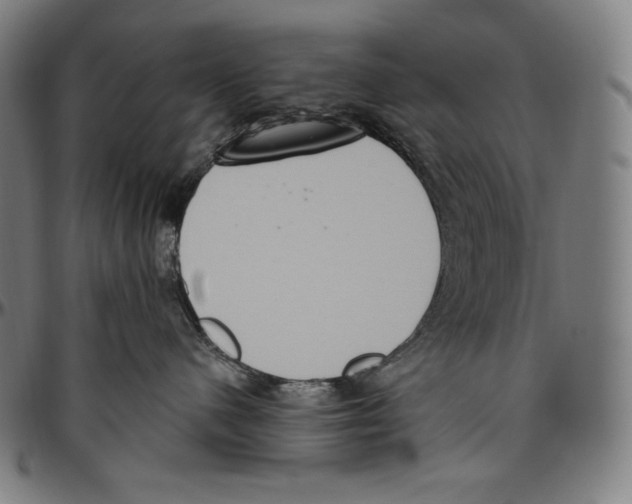 X0000096490480200802211242