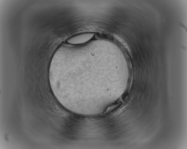 X0000096490481200802211241