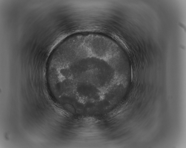 X0000096490483200802211241