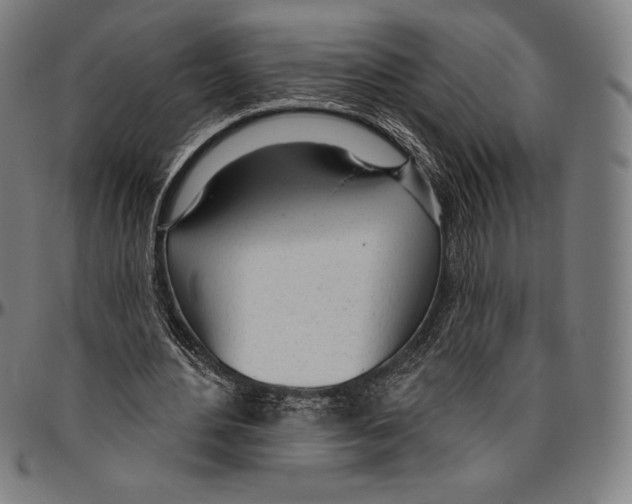 X0000096490484200802211241