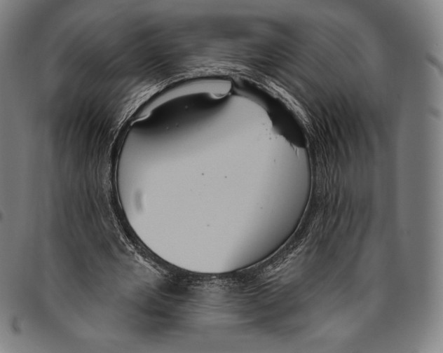 X0000096490485200802211241