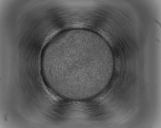 X0000096490486200802211241