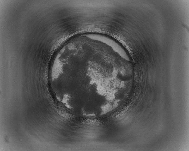 X0000096490487200802211241