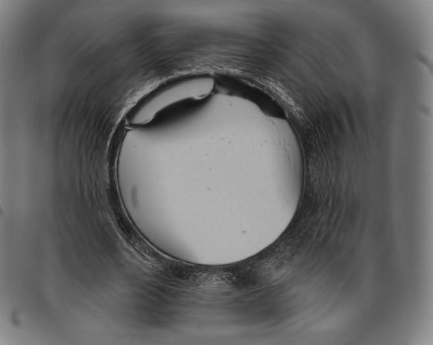 X0000096490488200802211241