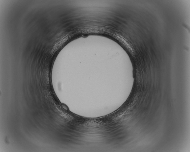 X0000096490489200802211241