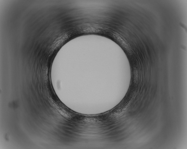 X0000096490490200802211241