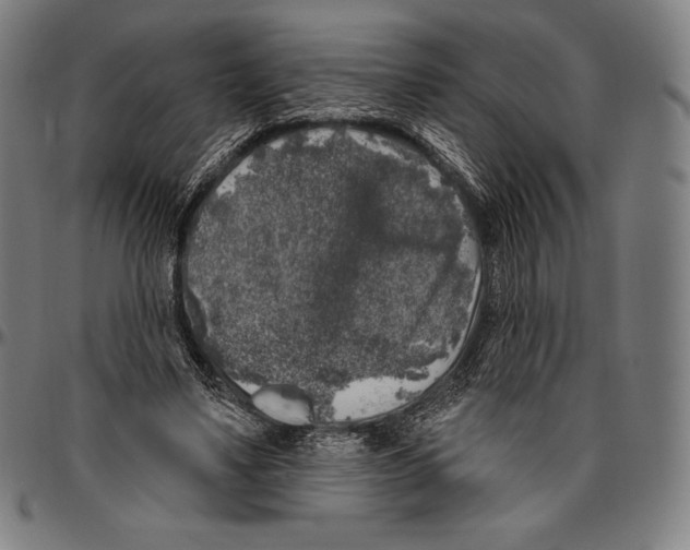 X0000096490491200802211241