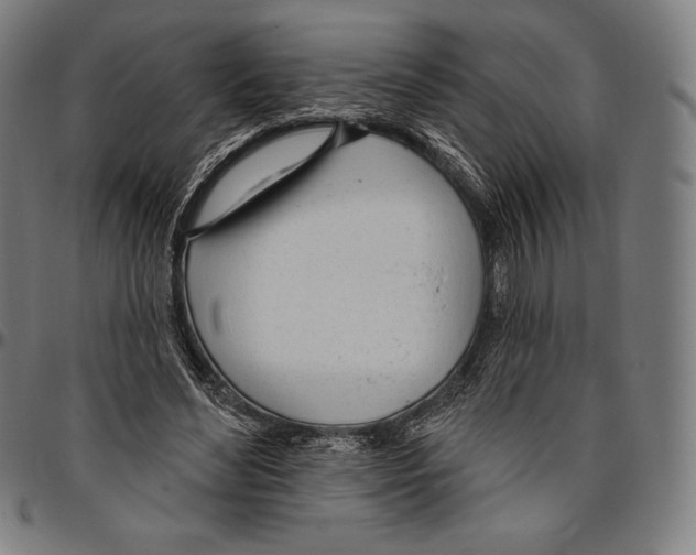 X0000096490492200802211241