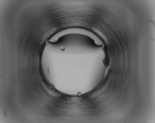 X0000096490493200802211241