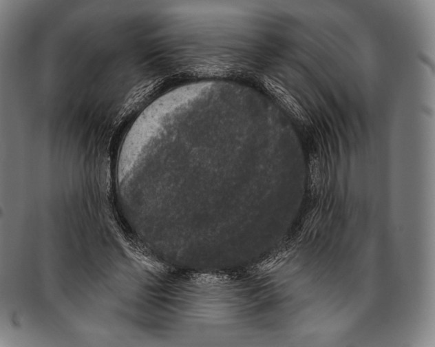 X0000096490494200802211241