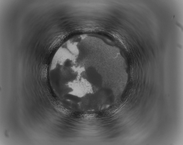 X0000096490495200802211241