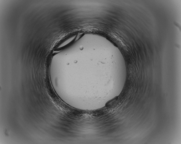 X0000096490496200802211241